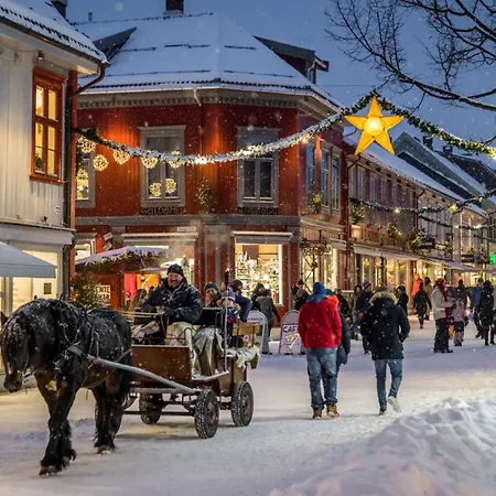 Fin I Sentrum Med Gratis Parkeingsplass Apartman *
