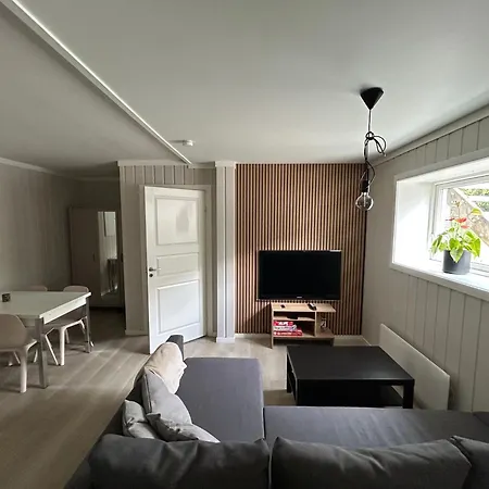 Apartment - Free Parking And Wi-fi Lillehammer